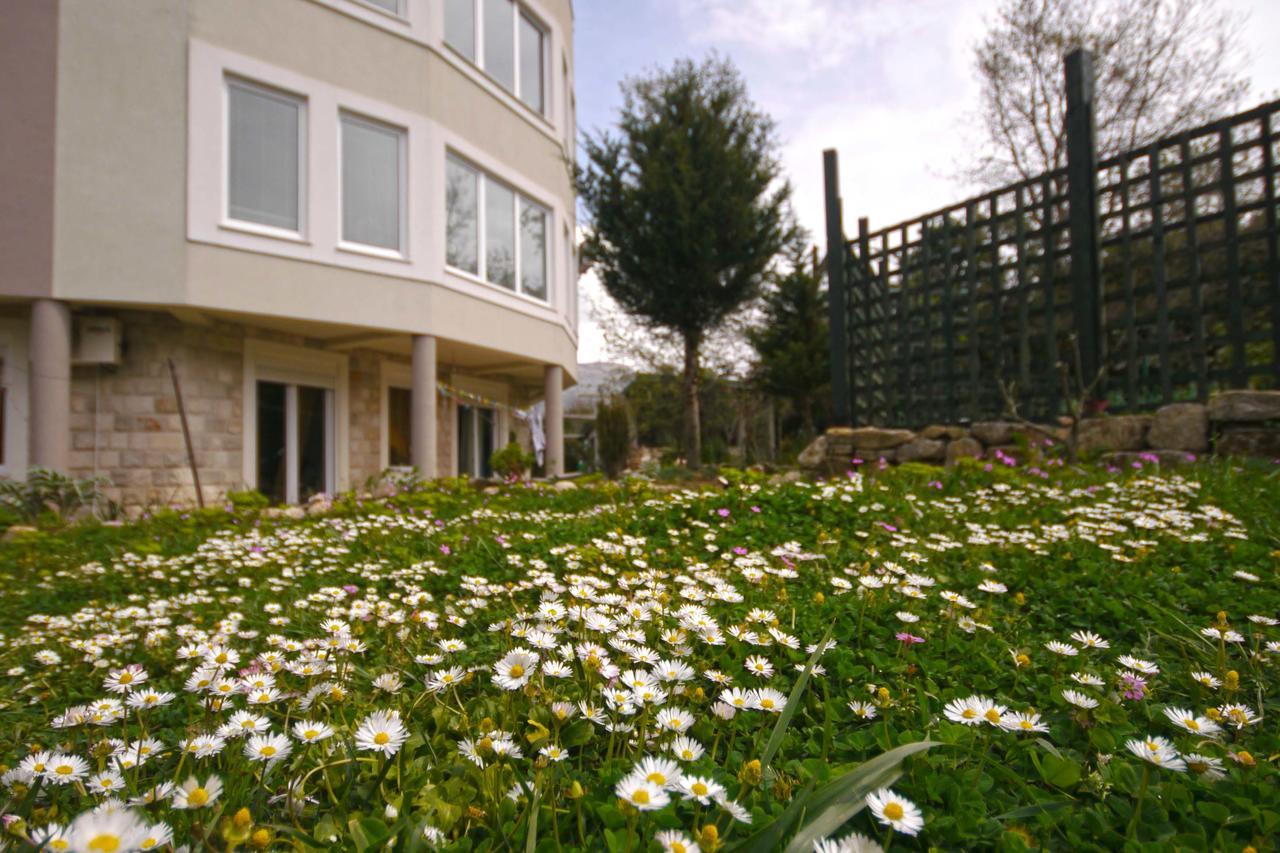 Mirta Apartments Family Farm Μπούντβα Εξωτερικό φωτογραφία