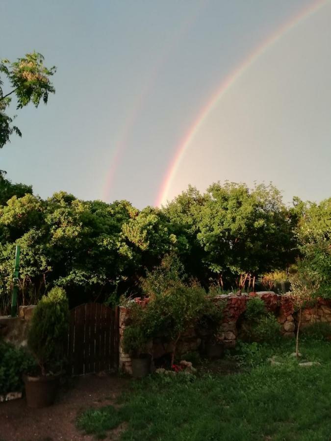 Mirta Apartments Family Farm Μπούντβα Εξωτερικό φωτογραφία